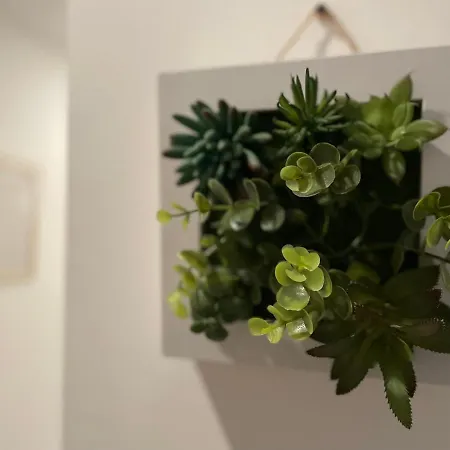 Le Cilaos, Au Coeur De Castres (Tarn)