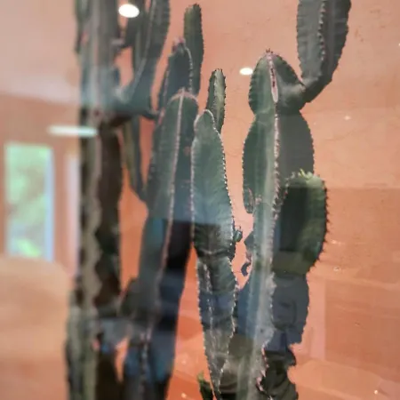 Le Cilaos, Au Coeur De 公寓 卡斯特尔