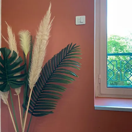 Le Cilaos, Au Coeur De Castres (Tarn)